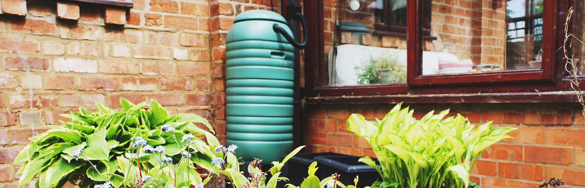 How To Set Up A Simple Rainwater Harvesting System | SA Home Loans